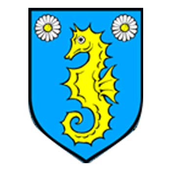 Municipality Okrug